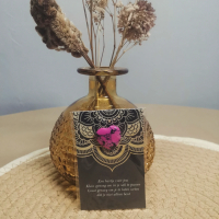 Stenen pocket hug hartjes